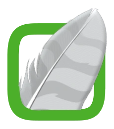 Wing IDE