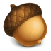 Acorn