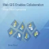ArcGIS Enterprise Windows