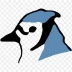 BlueJ