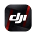 DJI Ronin