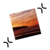 ExactScan pro
