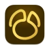 Navicat Premium