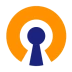 OpenVPN