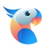 Plamfy Live Stream Video Chat