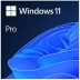 Windows 11